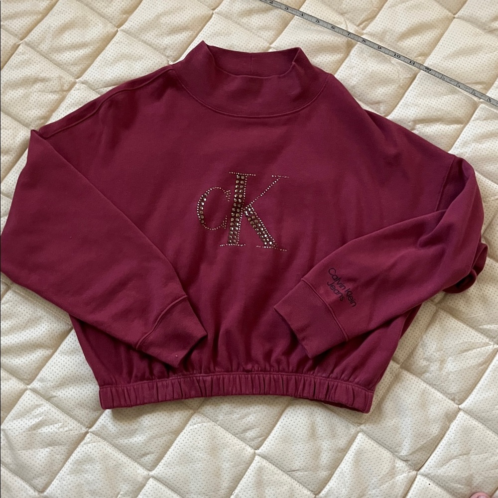 Calvin Klein Jeans Pink Boxy Embellished Sweatshirt - Picture 6 of 6